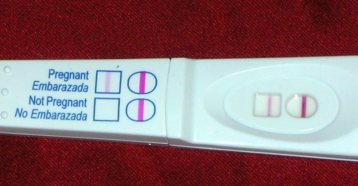 pregnancy test results. the pregnancy test picture